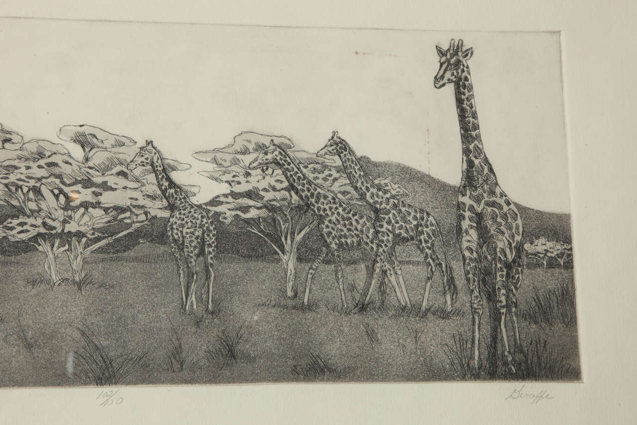 Giraffe 4