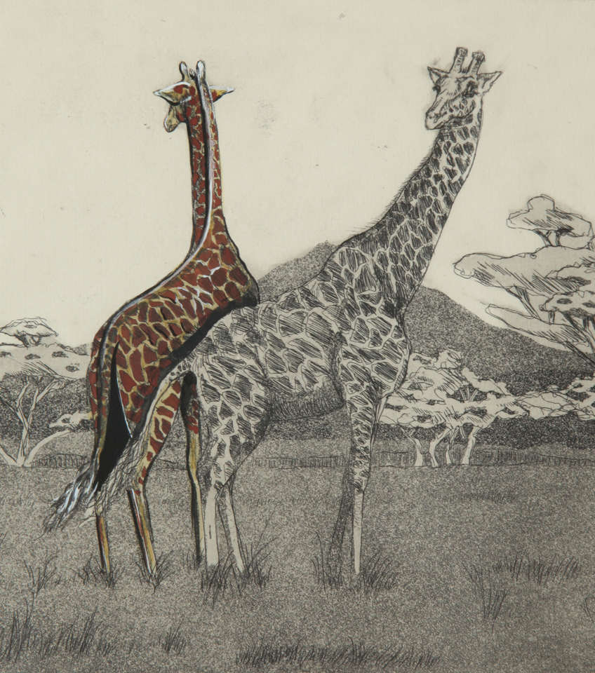 Giraffe 5