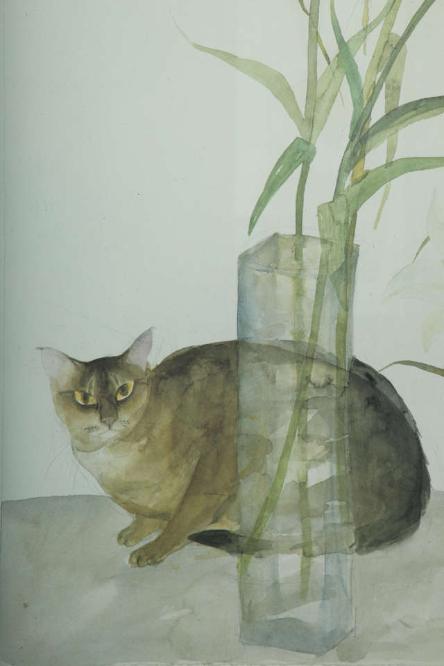 elizabeth blackadder prints limited edition