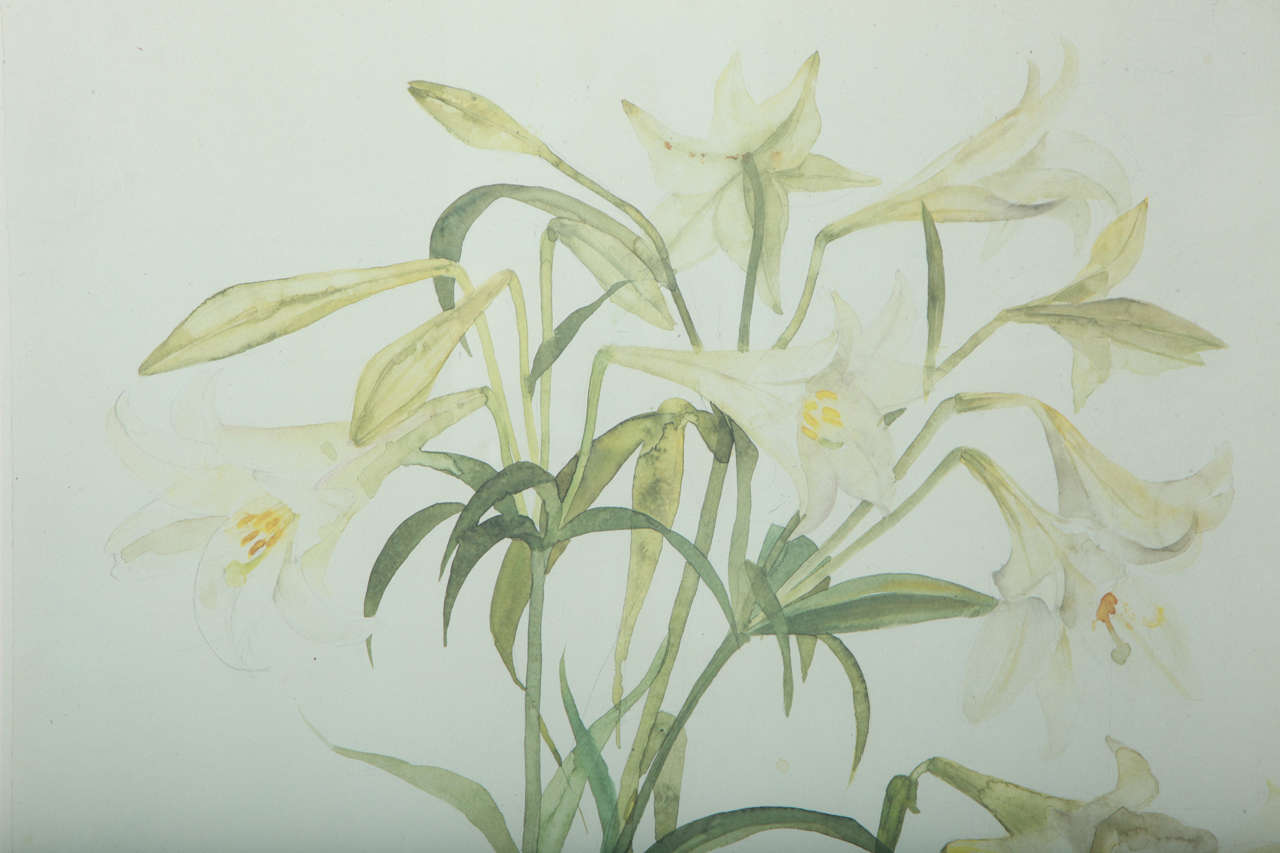 elizabeth blackadder for sale