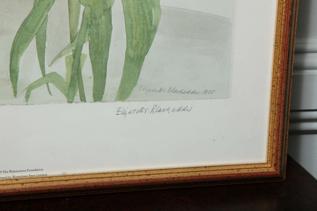 Elizabeth Blackadder Print In Excellent Condition In Greenwich, CT