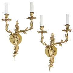 Pair, French Regence Style Gilt Brass Two Light Sconces