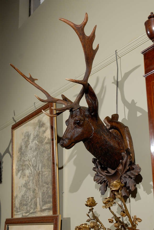 French Carved Black Forest Stag Head