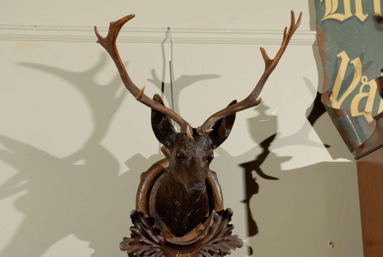 Carved Black Forest Stag Head In Excellent Condition In Atlanta, GA