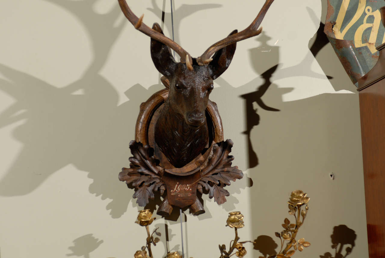19th Century Carved Black Forest Stag Head