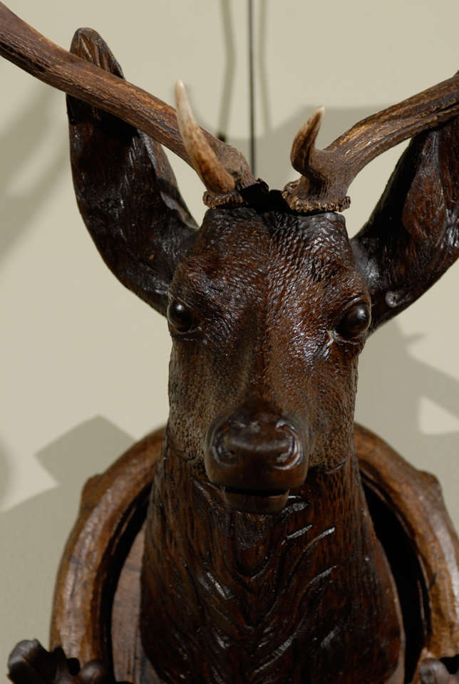 Carved Black Forest Stag Head 3
