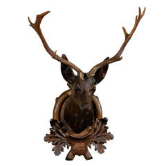 Antique Carved Black Forest Stag Head