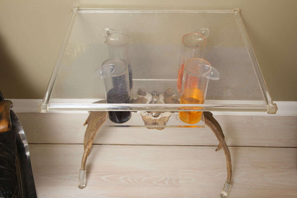 Lucite and Antler Table For Sale 2