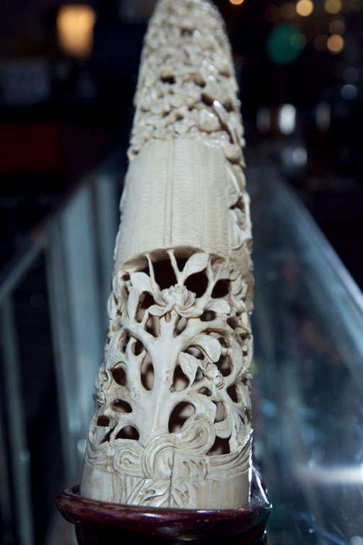Chinese Chinse Carved Ivory Tusk