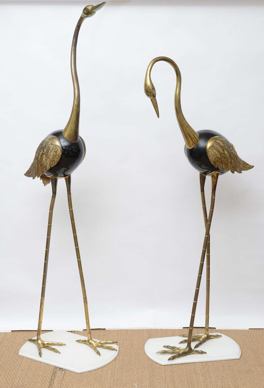 Slender and tall brass crane birds mounted on square, Lucite bases.