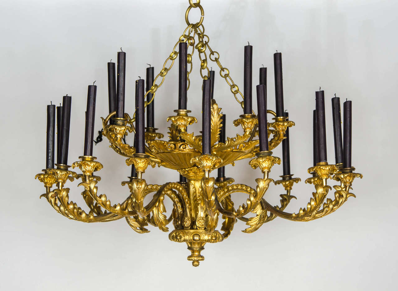 A most elegant Continental gilt bronze 24 branch chandelier with stylise acanthus leaf scroll and shell cast decoration.