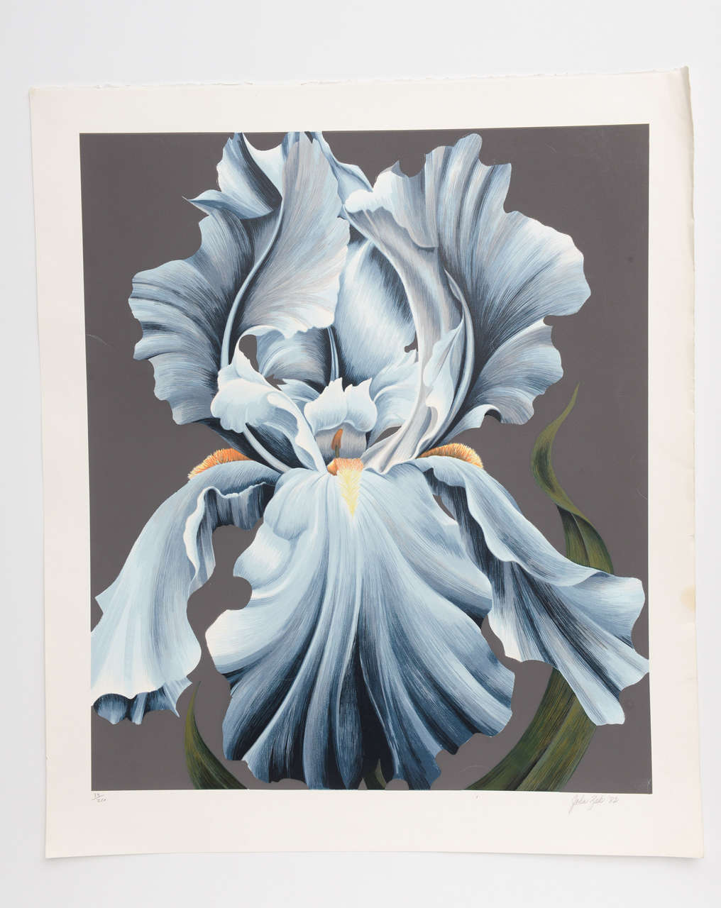 This limited edition lithograph print is signed by the artist and numbered 34/250. It is also stamped with the artists seal. Mr. Zak worked on a number of pieces, mostly Orchids, Lilly's. He has won a number of awards and his works were shown thru