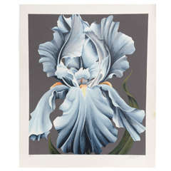 1982 Award Winning Signed and Numbered Prints Blue Orchid by John Zak