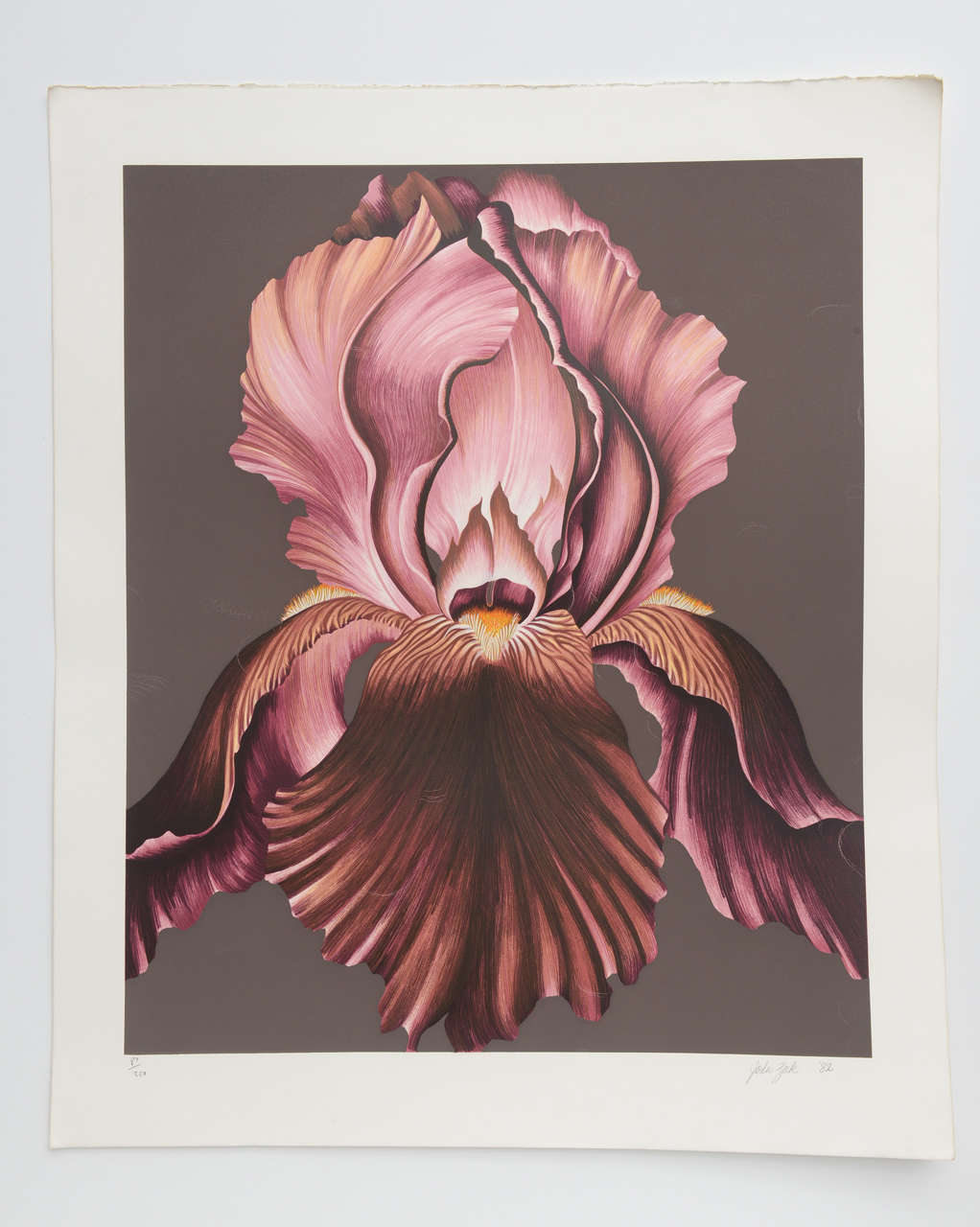 This limited edition lithographs, print is pencil signed and numbered 87/250, also stamped with the artists seal, this artist did a series of flowers, mostly orchids. He has won several award and showed his works in the USA throughout the 1980s. I