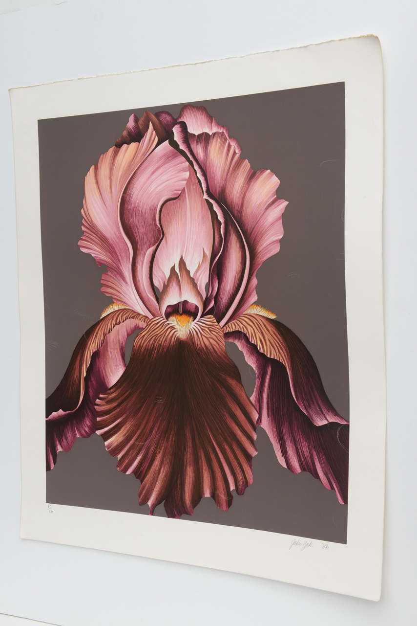 American 1982 Award Winning Signed and Numbered Purple Orchid Print by John Zak