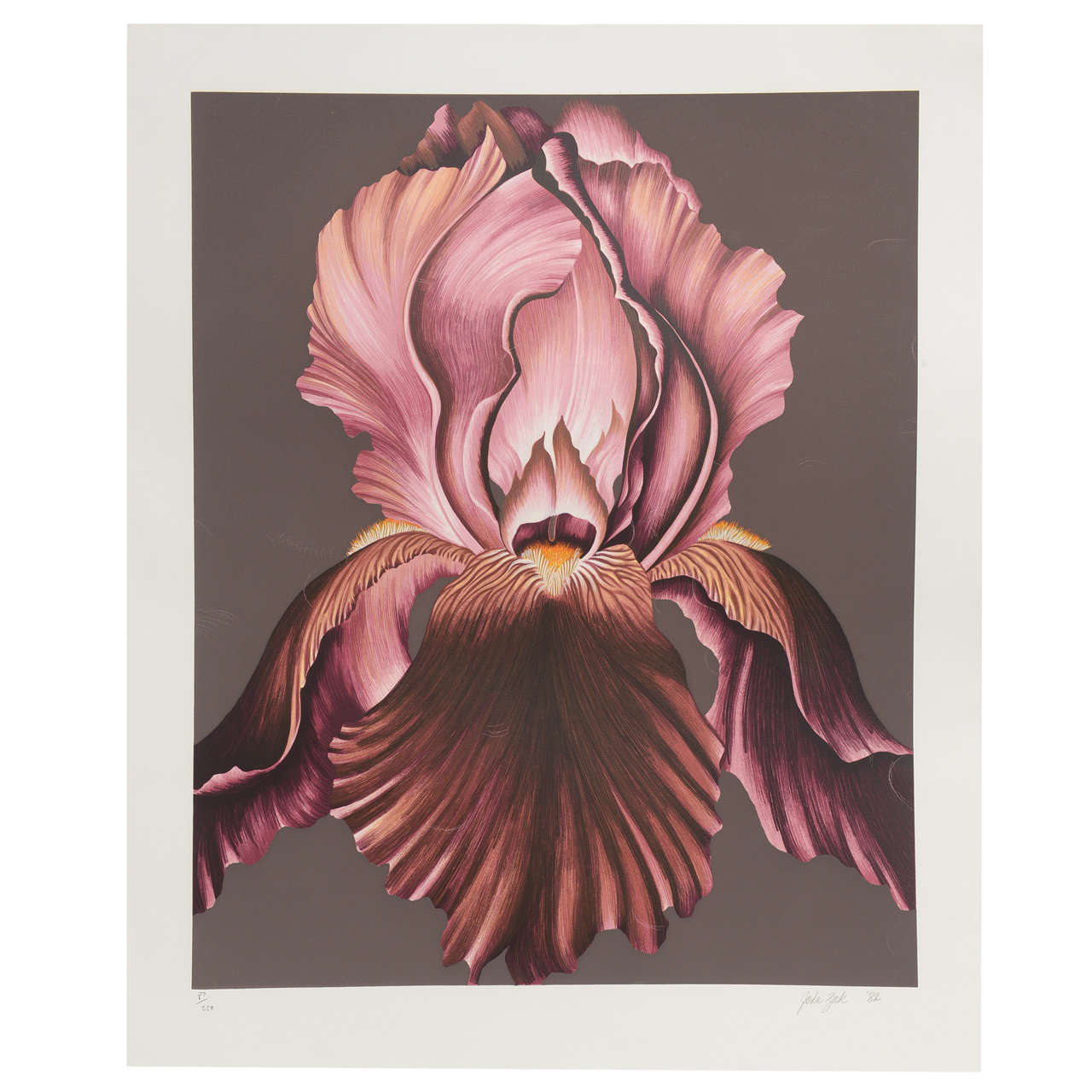 1982 Award Winning Signed and Numbered Purple Orchid Print by John Zak