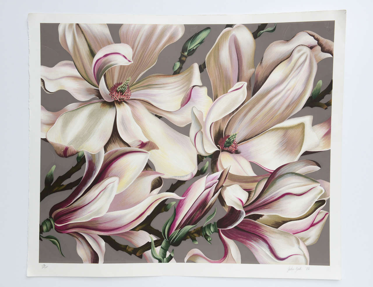 A beautiful edition of 300 Lilies there are two available #248 & #250, each is pencil signed and pressed sealed  . Artist has accomplish a beautiful composition a great addition to a modern classic or contemporary interior . Priced Individually .