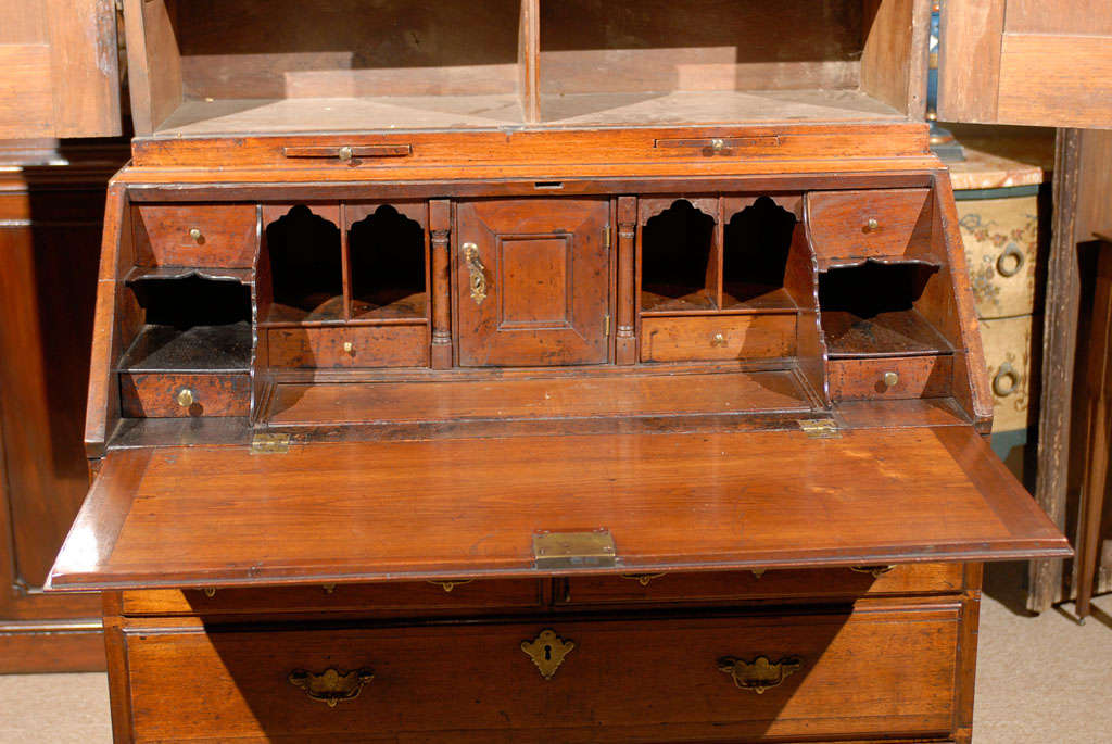 18th Century Georgian Walnut Bookcase With Blind Doors 3