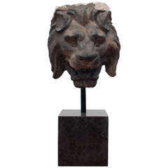 Lion Head Achitectural Fragment