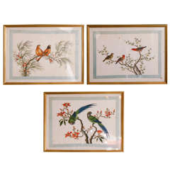 A Set of Three Paintings of Birds on Pith Paper, circa 1880