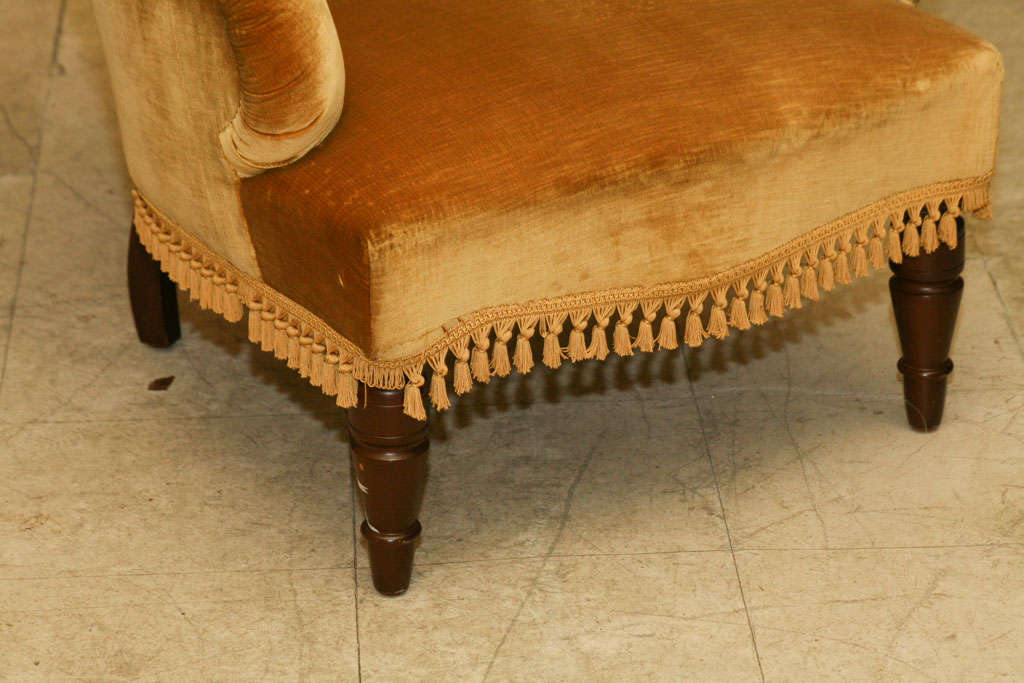 Late Victorian upholstered and tufted armchair, with turned front legs, curved back legs, covered in gold velveteen.