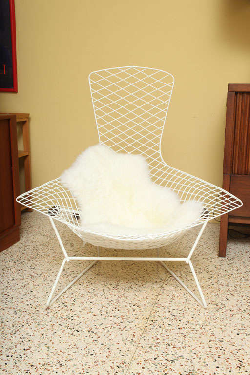 American Classic Early  Bertoia Bird Chair  for Knoll with Ottoman