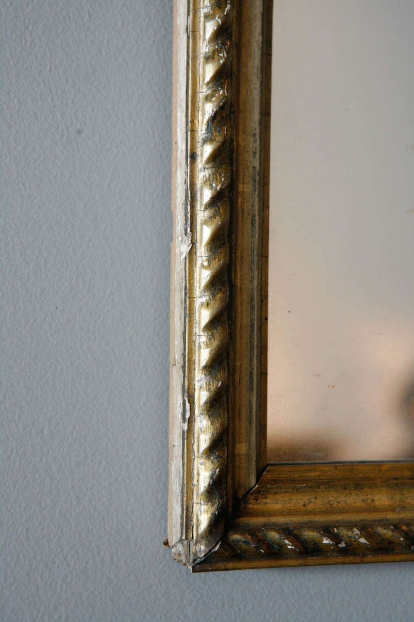 A Collection of French Water-Gilt Mirrors, 19th Century 1
