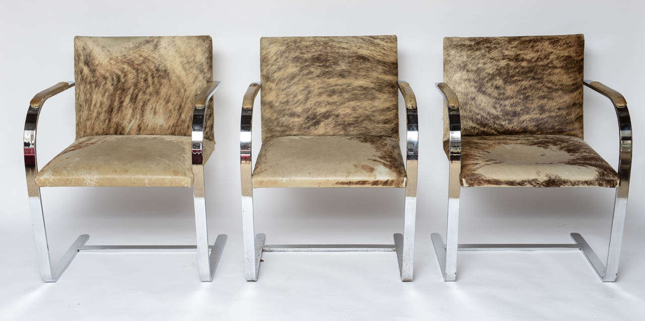 Original calf-hide upholstery with wear from regular use over decades, these Brno chairs by Mies van der Rohe are a set of ten (10).