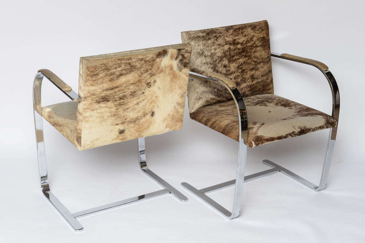 Mid-20th Century 10  Mies Van Der Rohe Brno Flatbar Dining Chairs