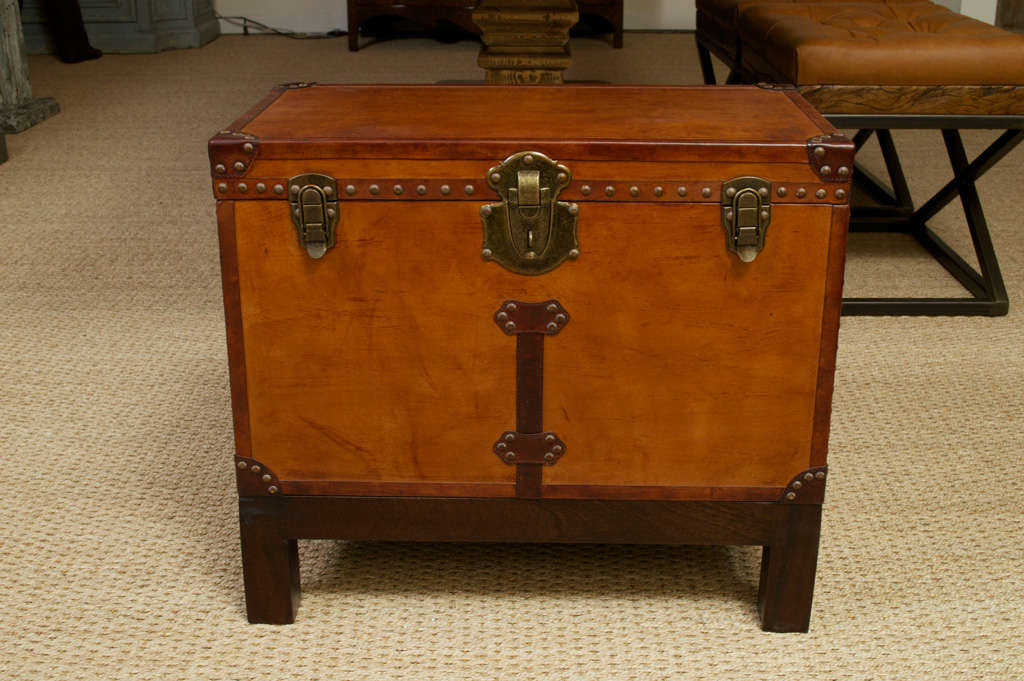 Leather Trunk