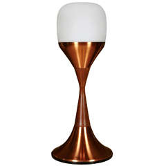 Tall Lamp In Copper And Teak By Stilnovo Ca.1950