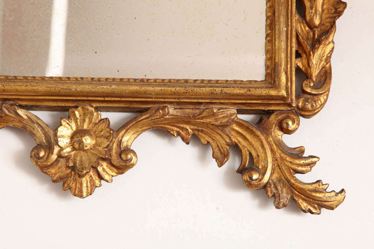 Italian Giltwood Mirror, 19th Century For Sale 2