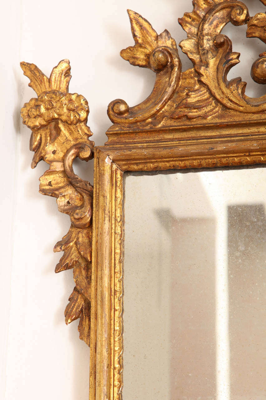 Italian Giltwood Mirror, 19th Century For Sale 6