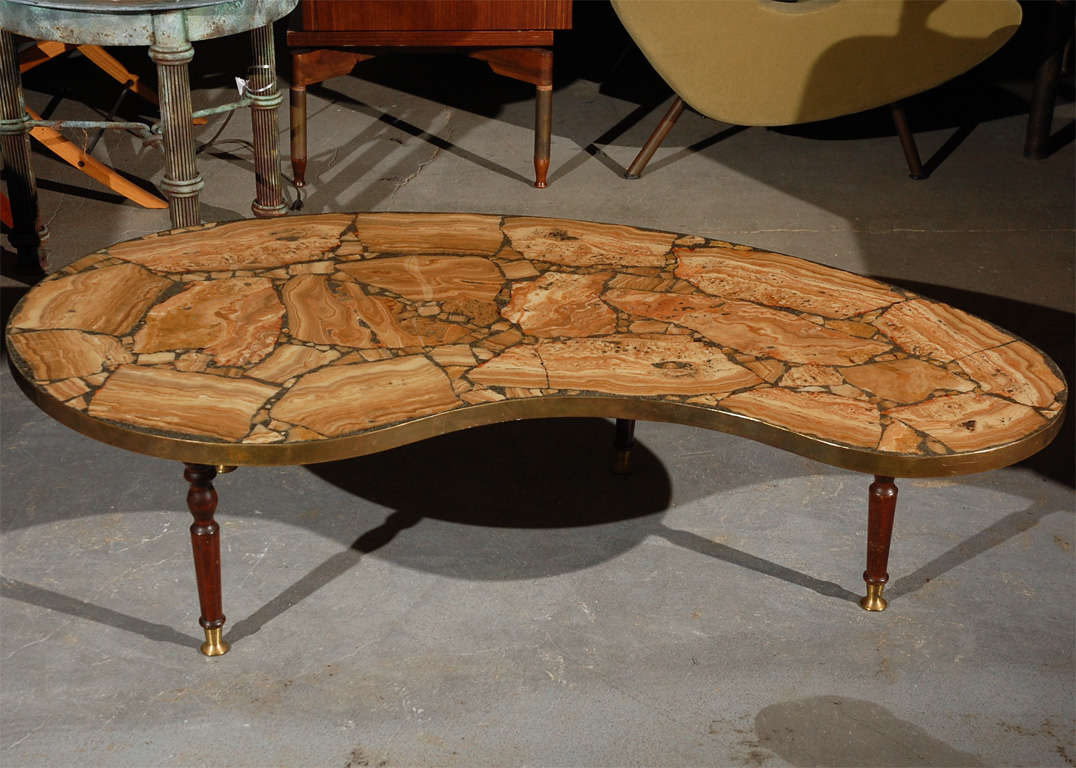 Amoeba shaped coffee table w/petrified wood top & brass feet