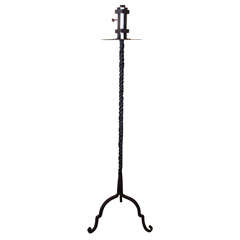Finely Wrought iron Floor Lamp