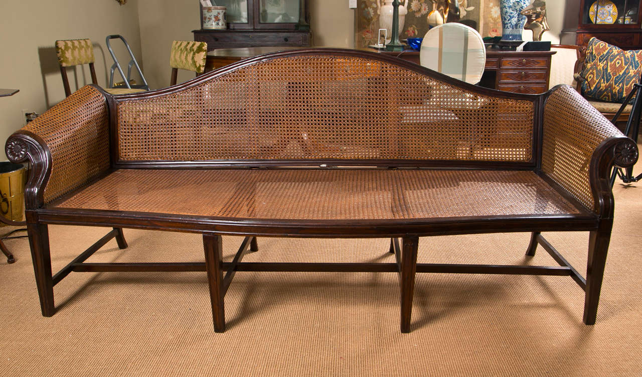 Chinese Export Rosewood Caned Sofa at 1stDibs