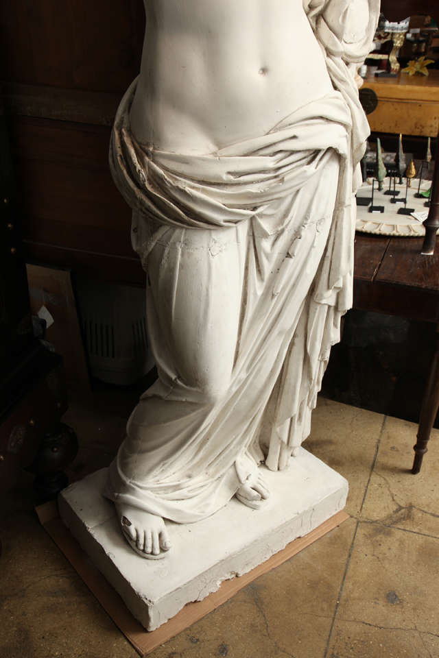 19th Century Venus d'Arles