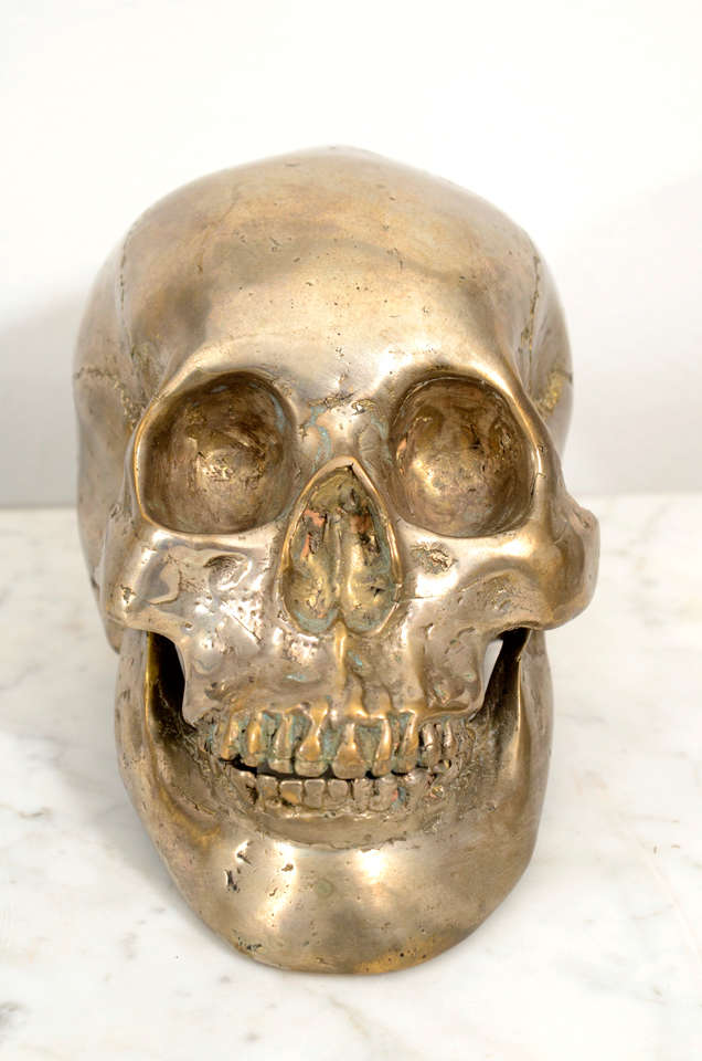 American Decorative Nickel Plated Skull Head