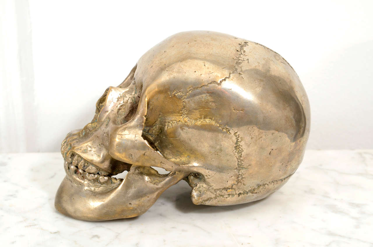 Decorative Nickel Plated Skull Head In Excellent Condition In New York, NY