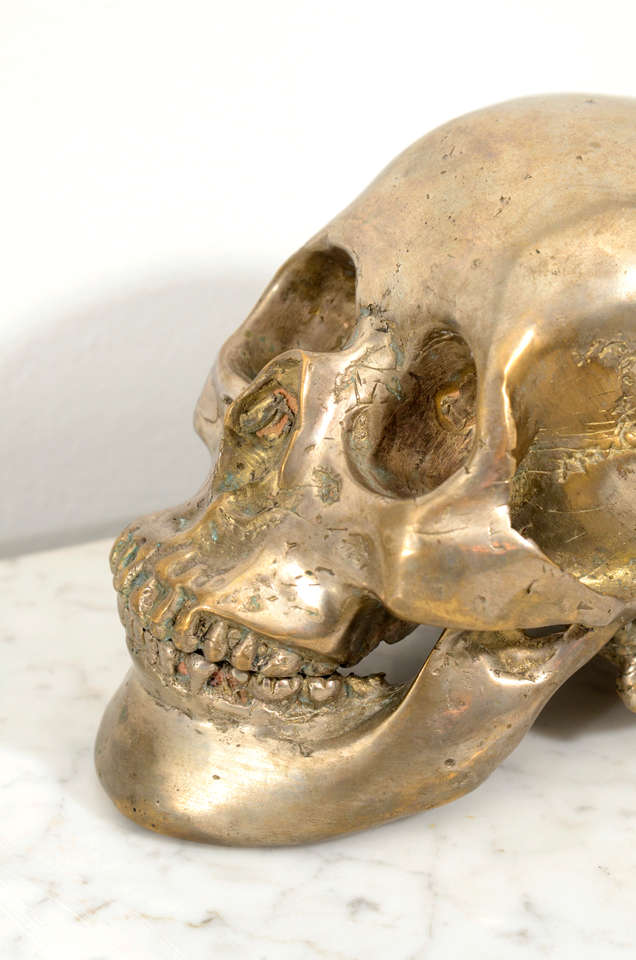 20th Century Decorative Nickel Plated Skull Head
