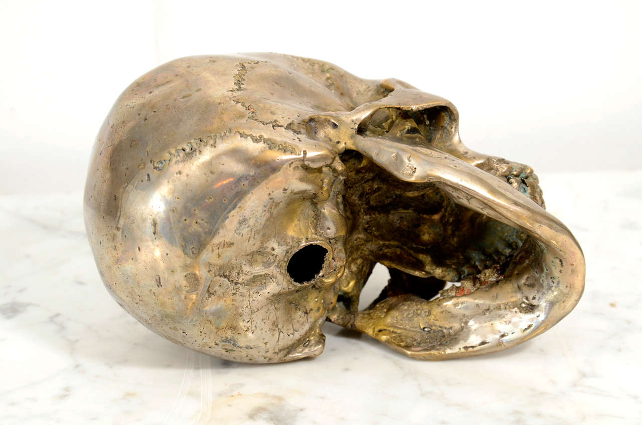 Decorative Nickel Plated Skull Head 2