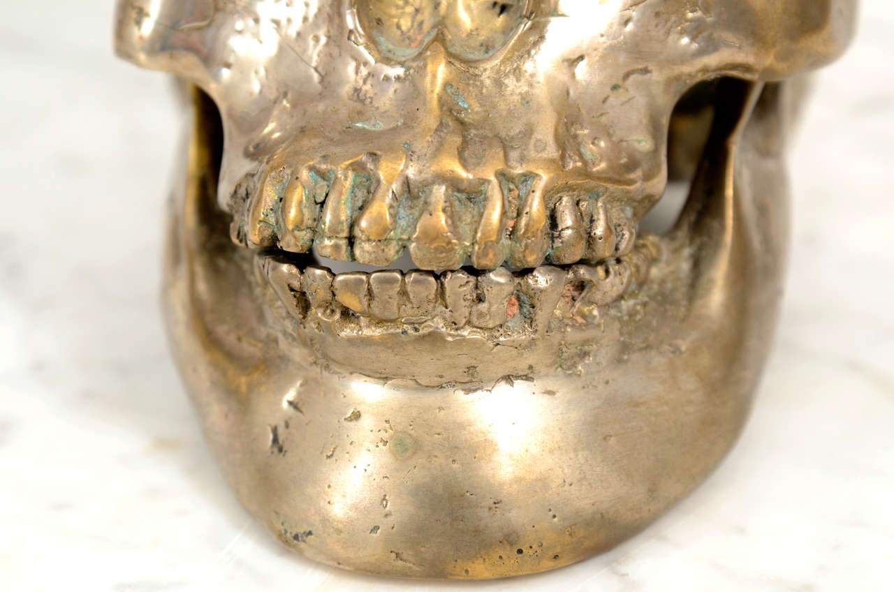 Decorative Nickel Plated Skull Head 3