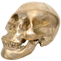 Decorative Nickel Plated Skull Head