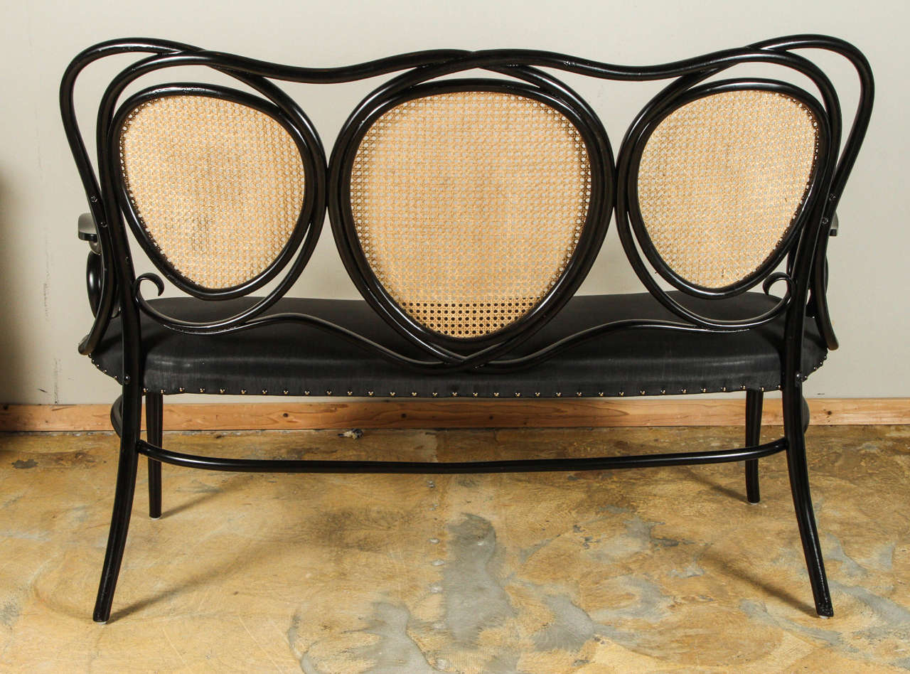 Restored Thonet Settee with New Horsehair Upholstery 2
