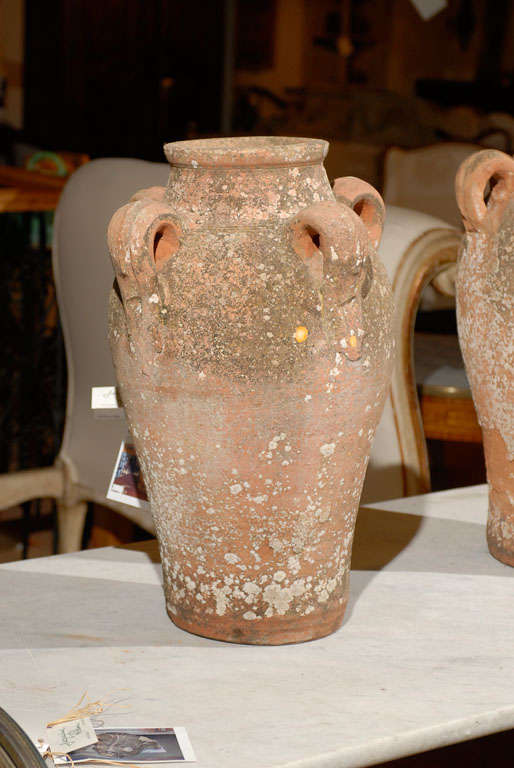 Two French Early 18th Century Four-Handled Terracotta Urns with Aged Patina 2