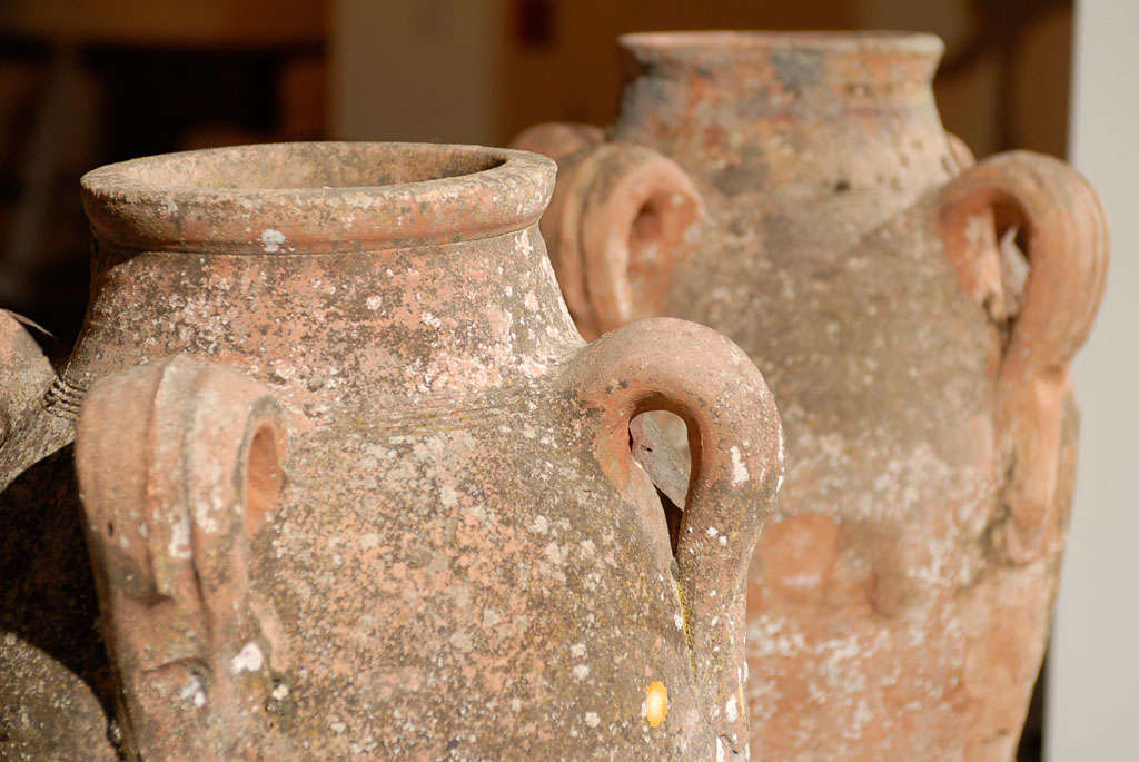 Two French Early 18th Century Four-Handled Terracotta Urns with Aged Patina 3