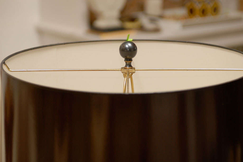American Tortoise Glass Lamp