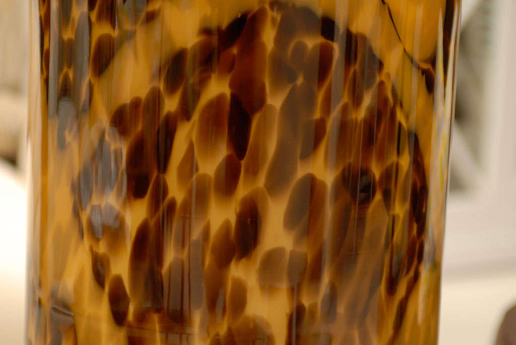 Tortoise Glass Lamp 2