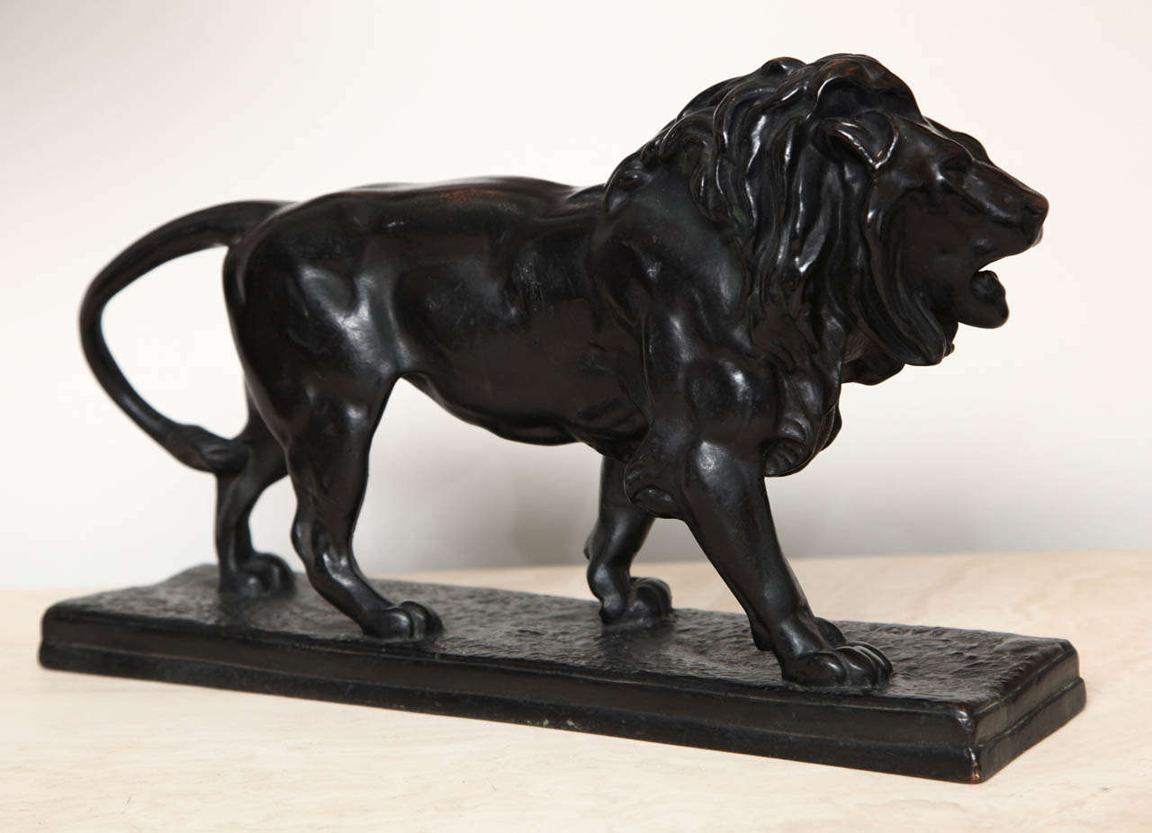 Late 19th century bronze lion with finely chased mane, marble base.
Signed 'Bayre'