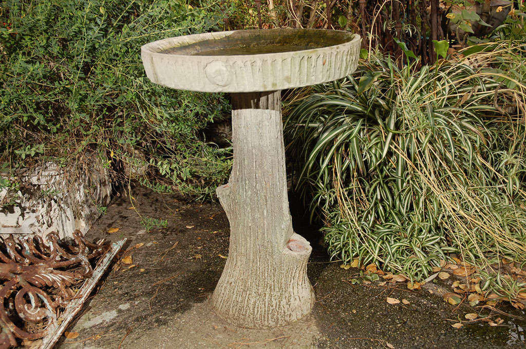 Circa 1920 Faux Bois Birdbath
